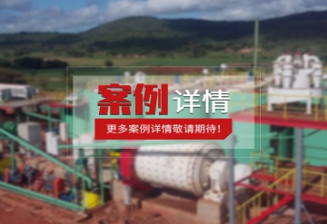 贵州硫锌矿浮选项目